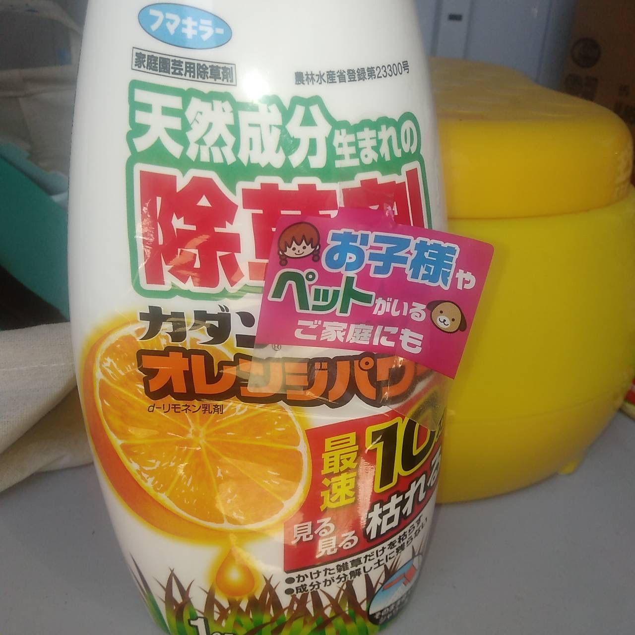 空き家管理　名古屋市千種区南ヶ丘