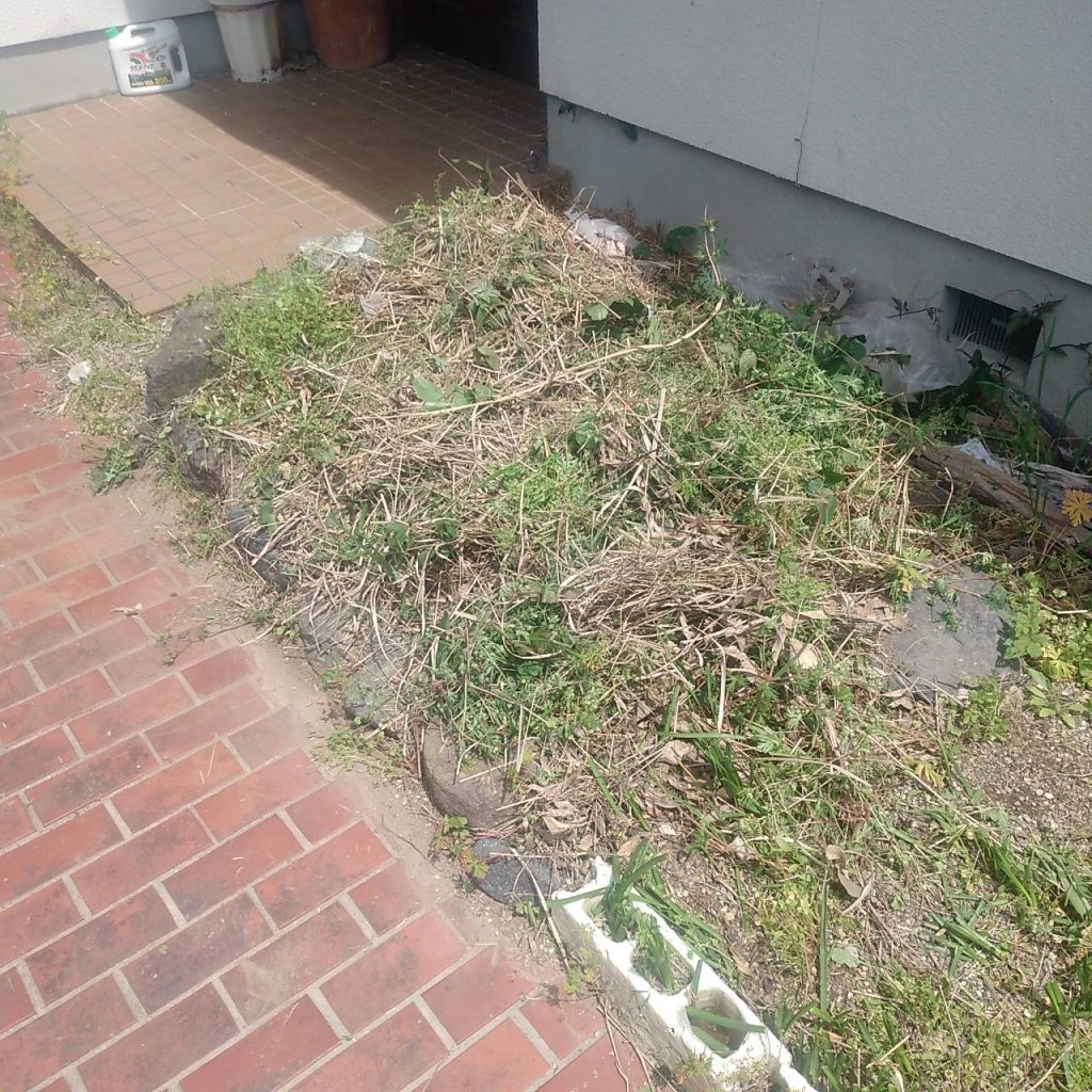 空家管理 千種区希望ヶ丘