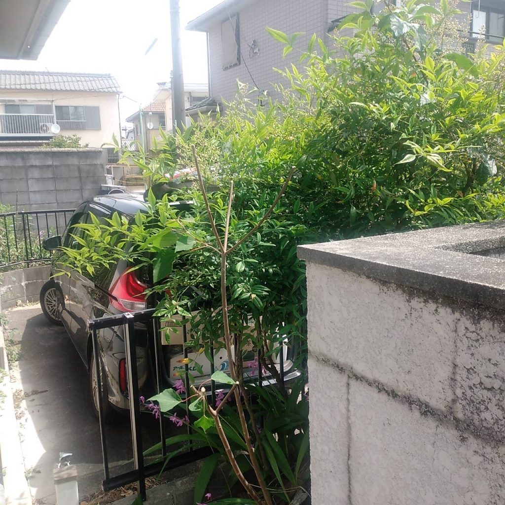 空家管理 千種区希望ヶ丘