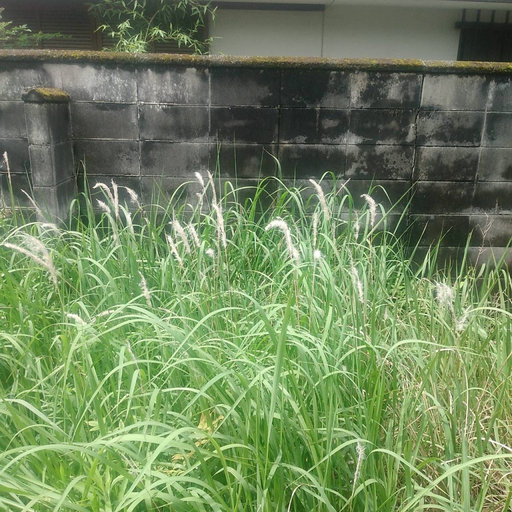 空家管理 千種区希望ヶ丘