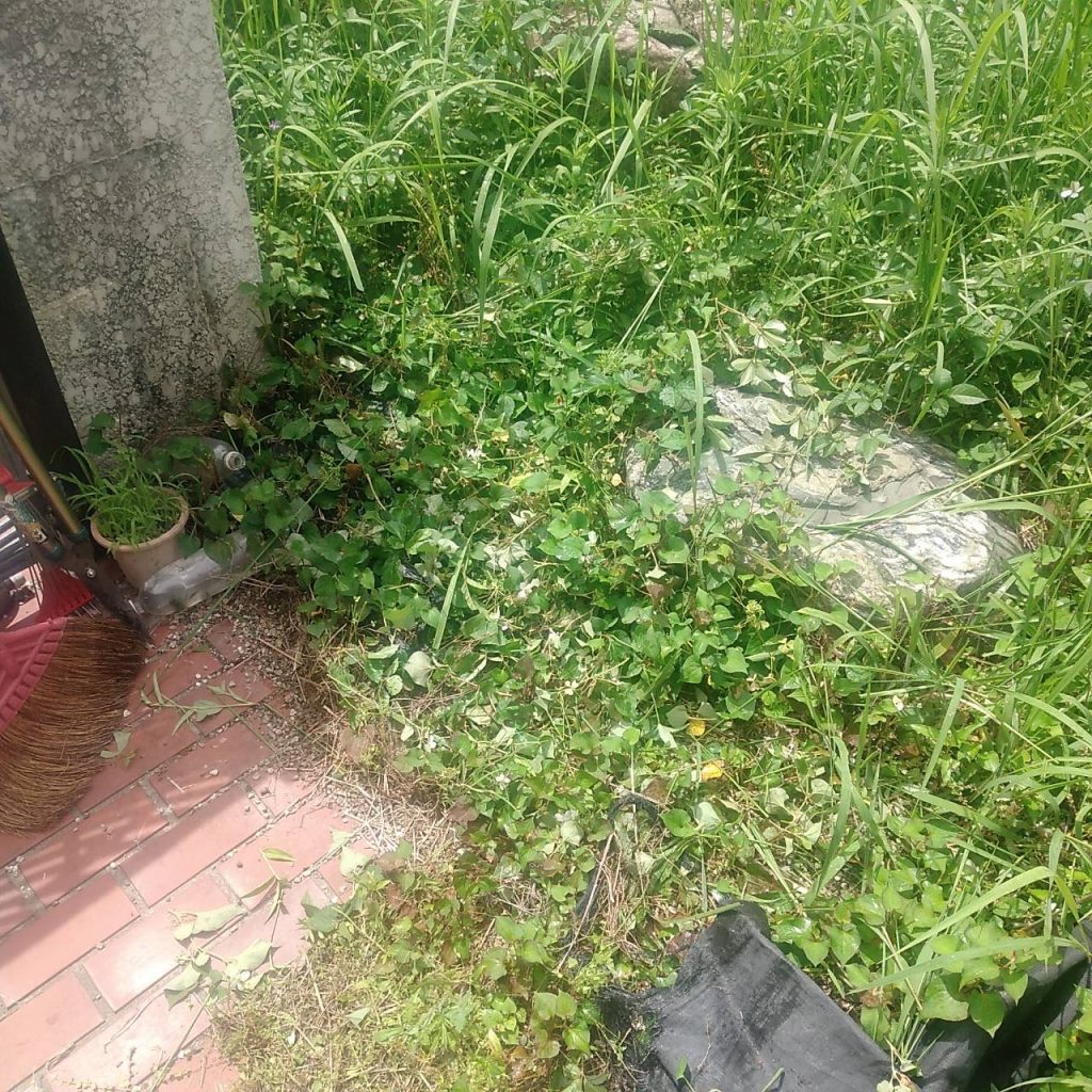 空家管理 千種区希望ヶ丘
