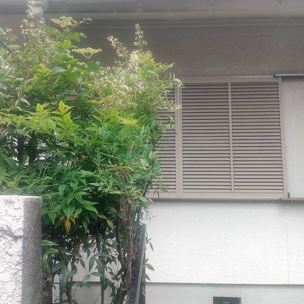 空家管理 千種区希望ヶ丘