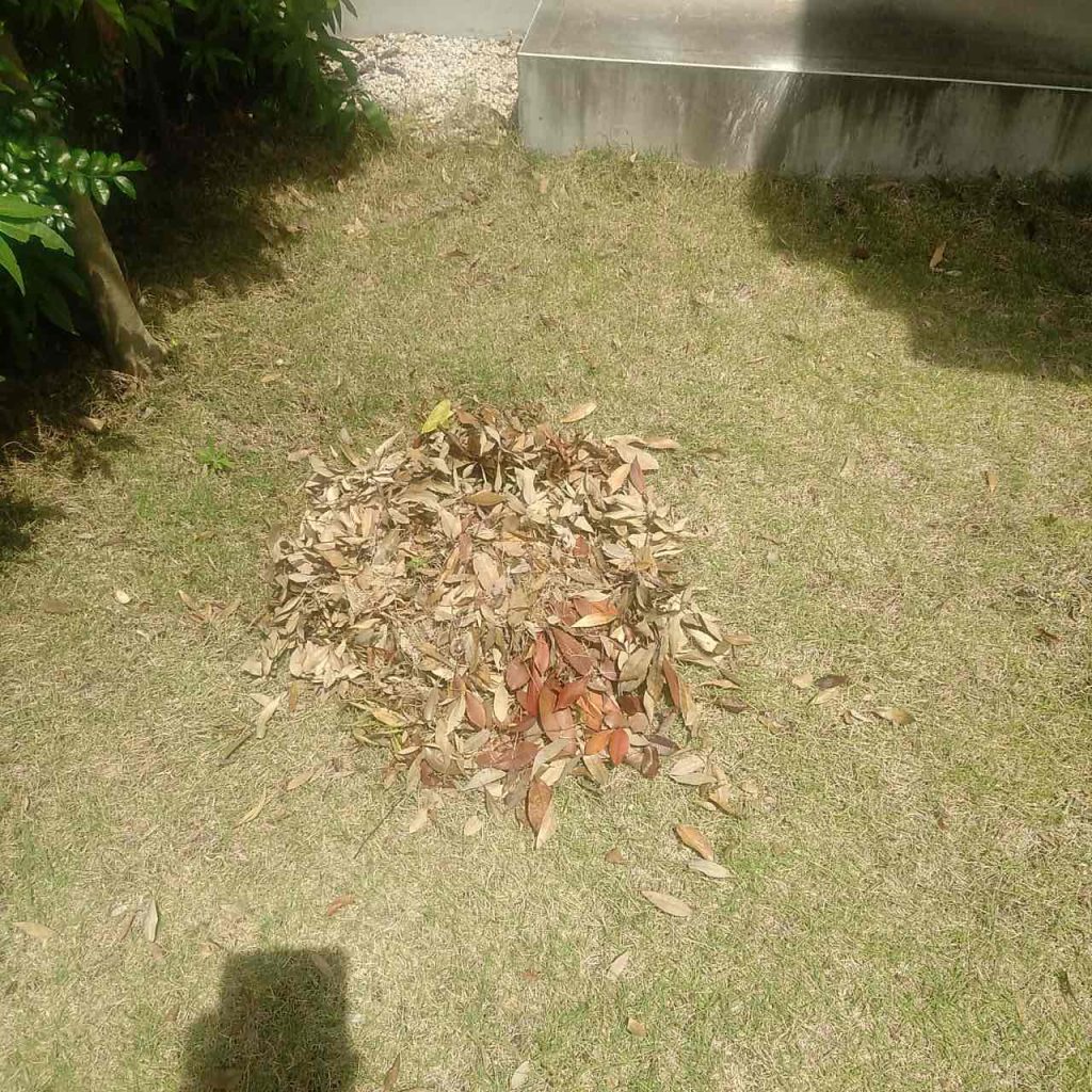空き家管理庭の草取り、芝刈り、落ち葉の回収