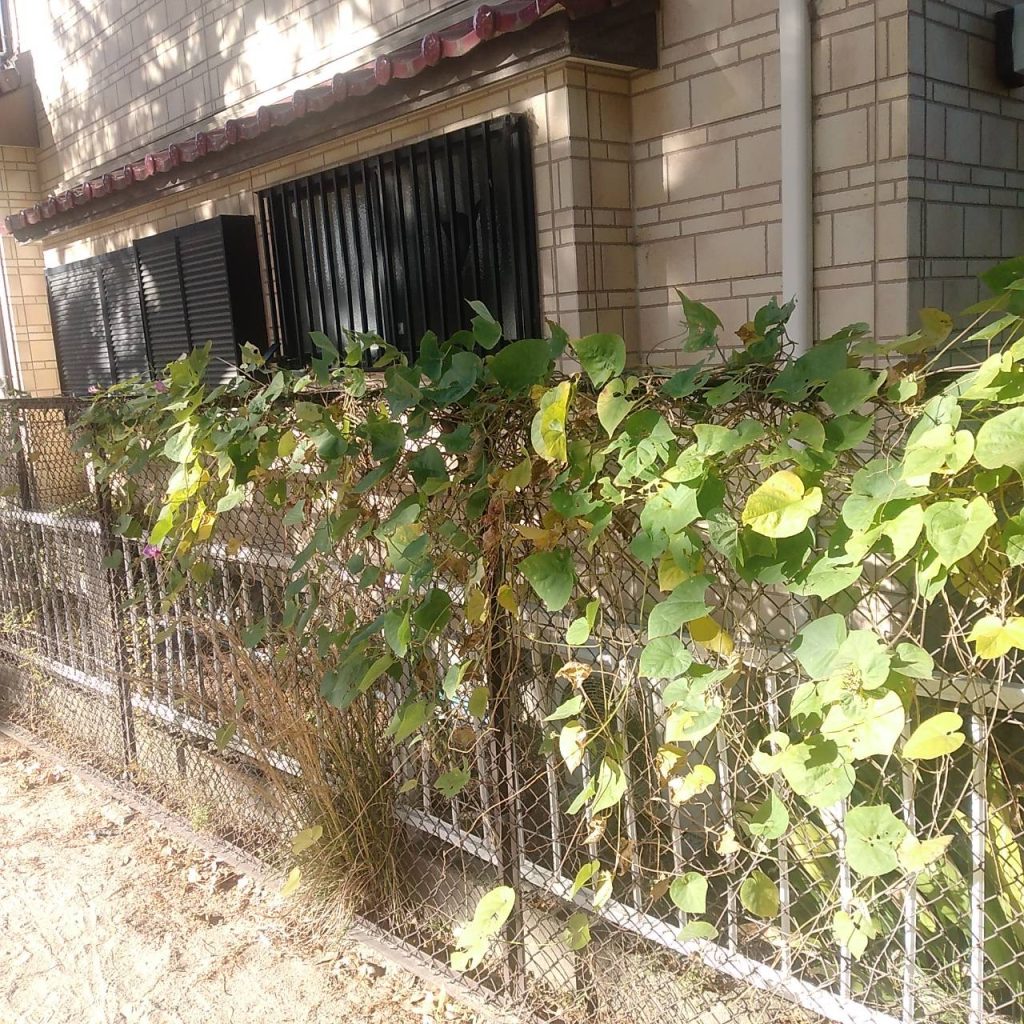 空き家管理 岡崎市大和町