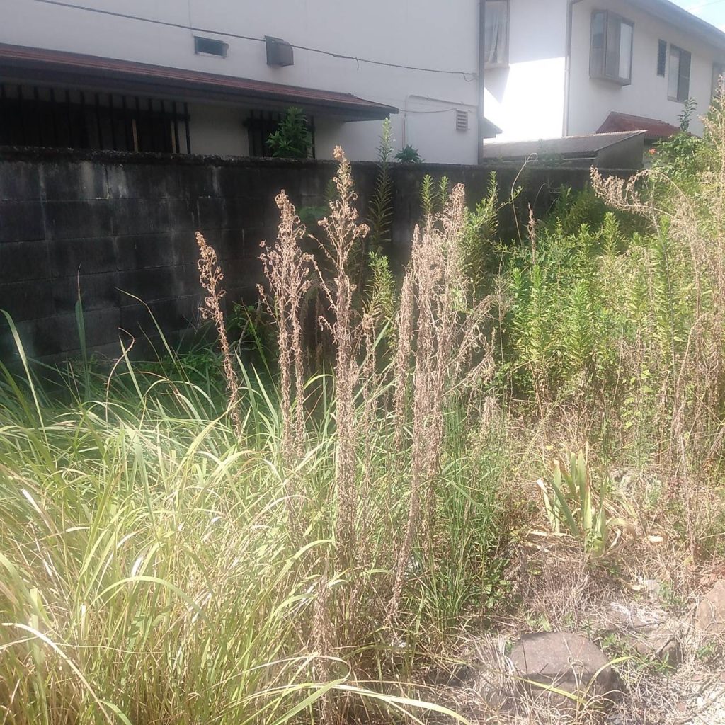 千種区希望ヶ丘