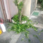 稲沢市平和町 空き家管理