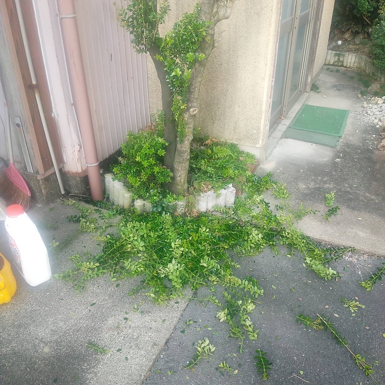 稲沢市平和町 空き家管理