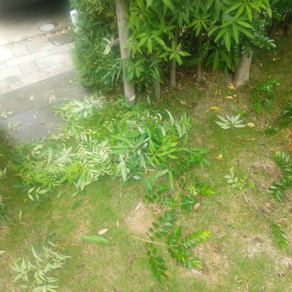 名古屋市千種区南ヶ丘 空き家管理