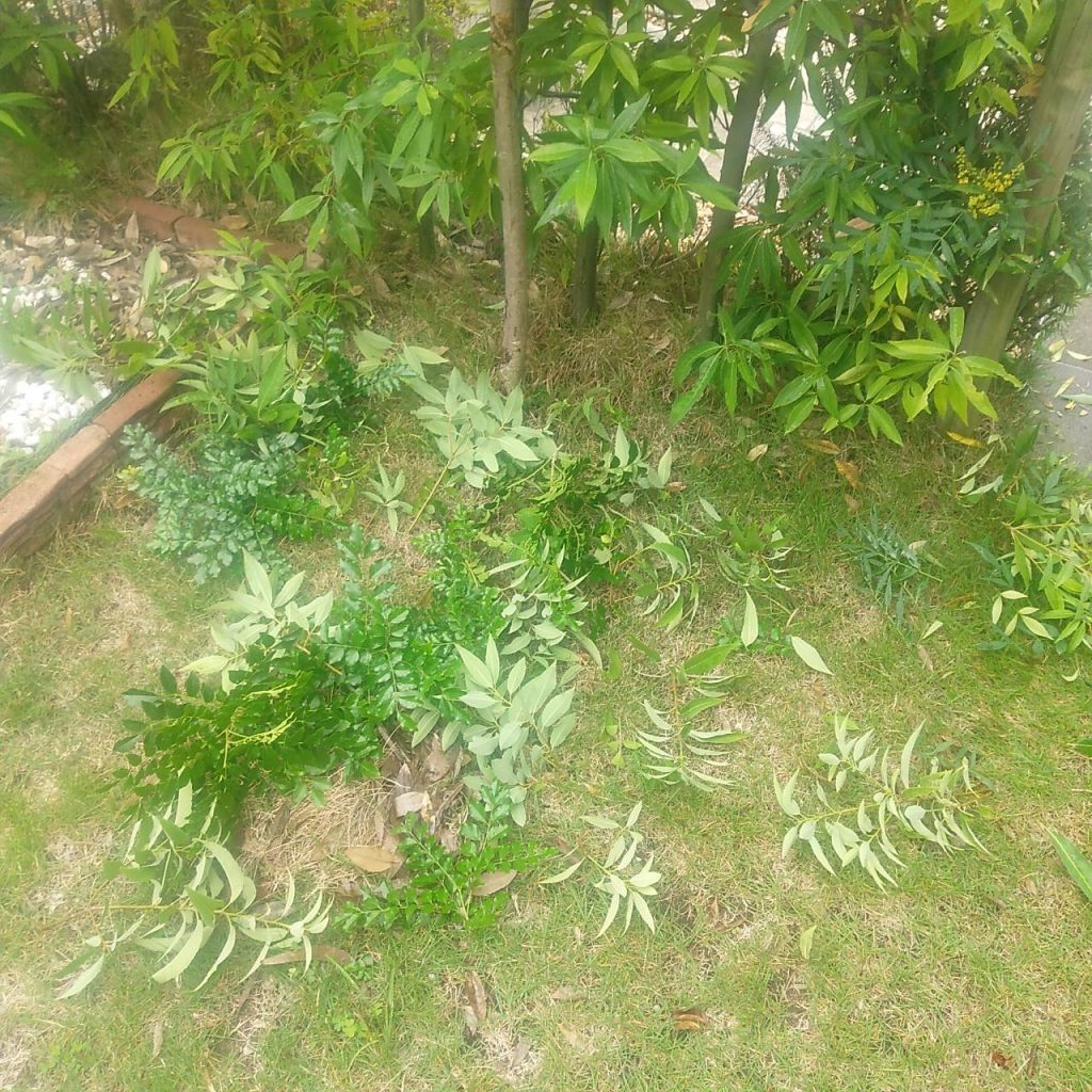 名古屋市千種区南ヶ丘 空き家管理