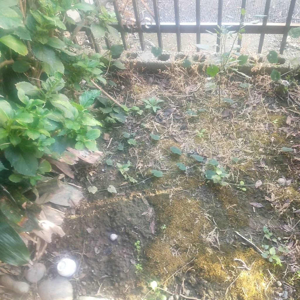 稲沢市平和町 空き家管理